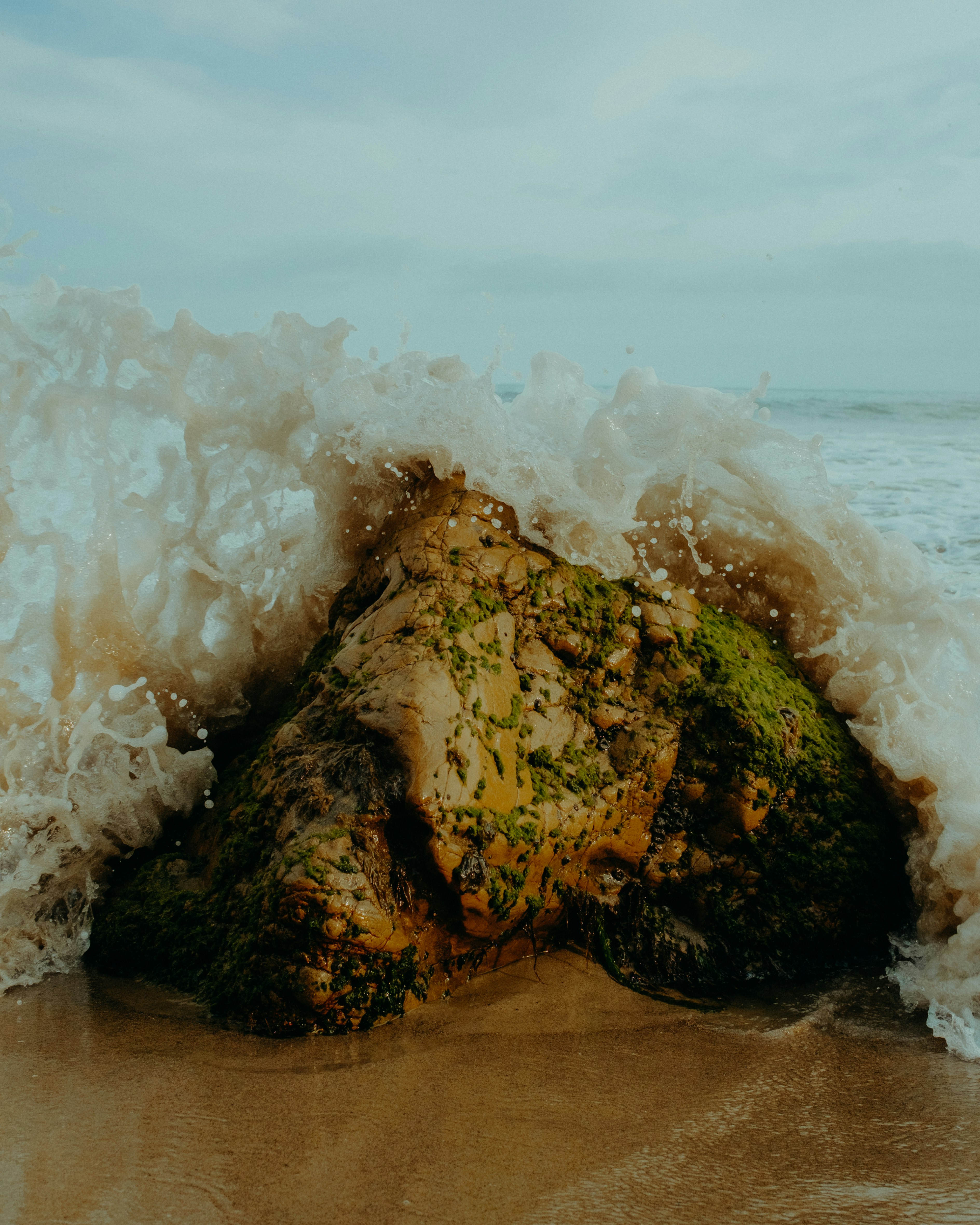 brown rock formation on sea shore during daytime